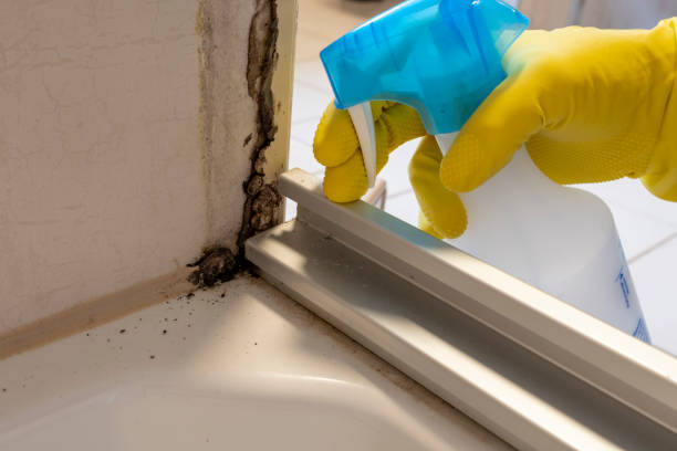 Best Mold Removal Specialists  in Cathcart, WA