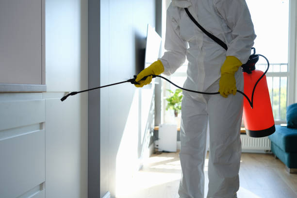 Best Certified Mold Removal  in Cathcart, WA